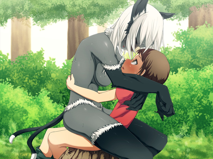 breasts cat_ears catgirl drow duo elf eyes_closed female hair hatsuen_kikan human interspecies male mammal nude sex straight sweat white_hair young