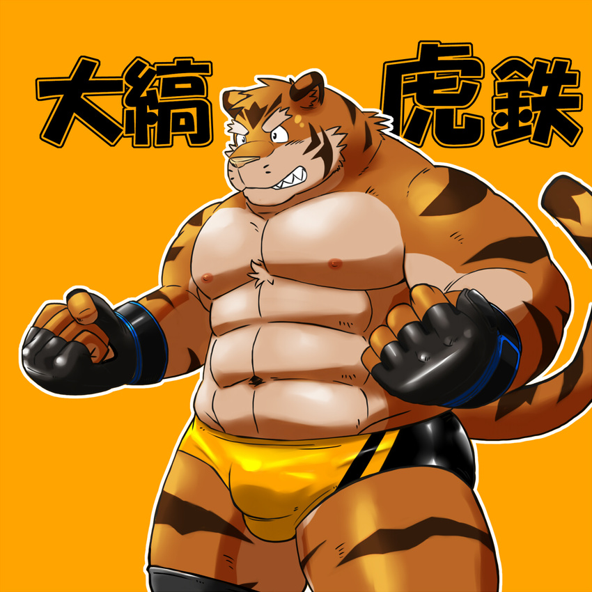 biceps bulge feline gloves male mammal shiba-kenta solo speedo swimsuit tiger wrestler