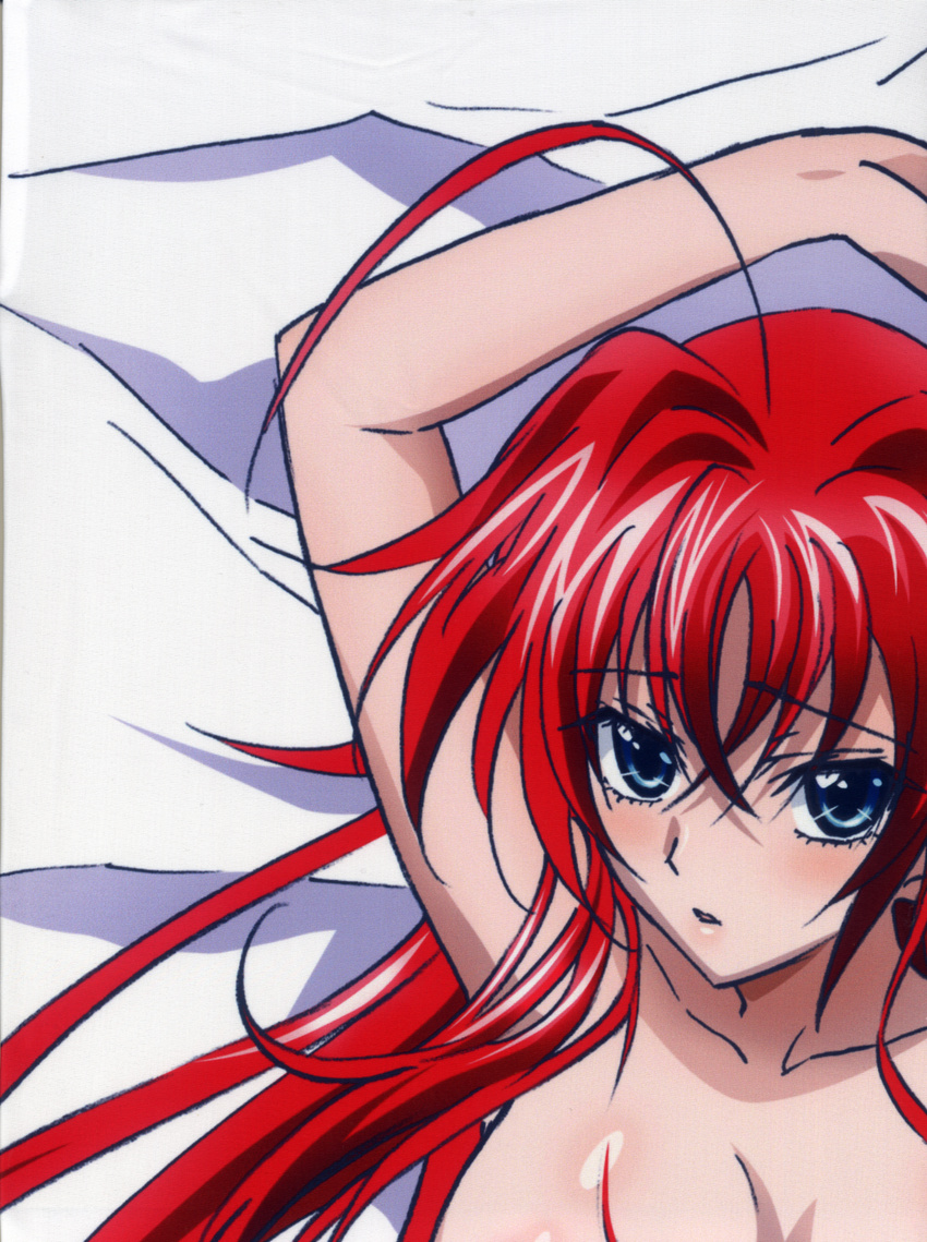 dakimakura highschool_dxd partial_scan rias_gremory stitchme