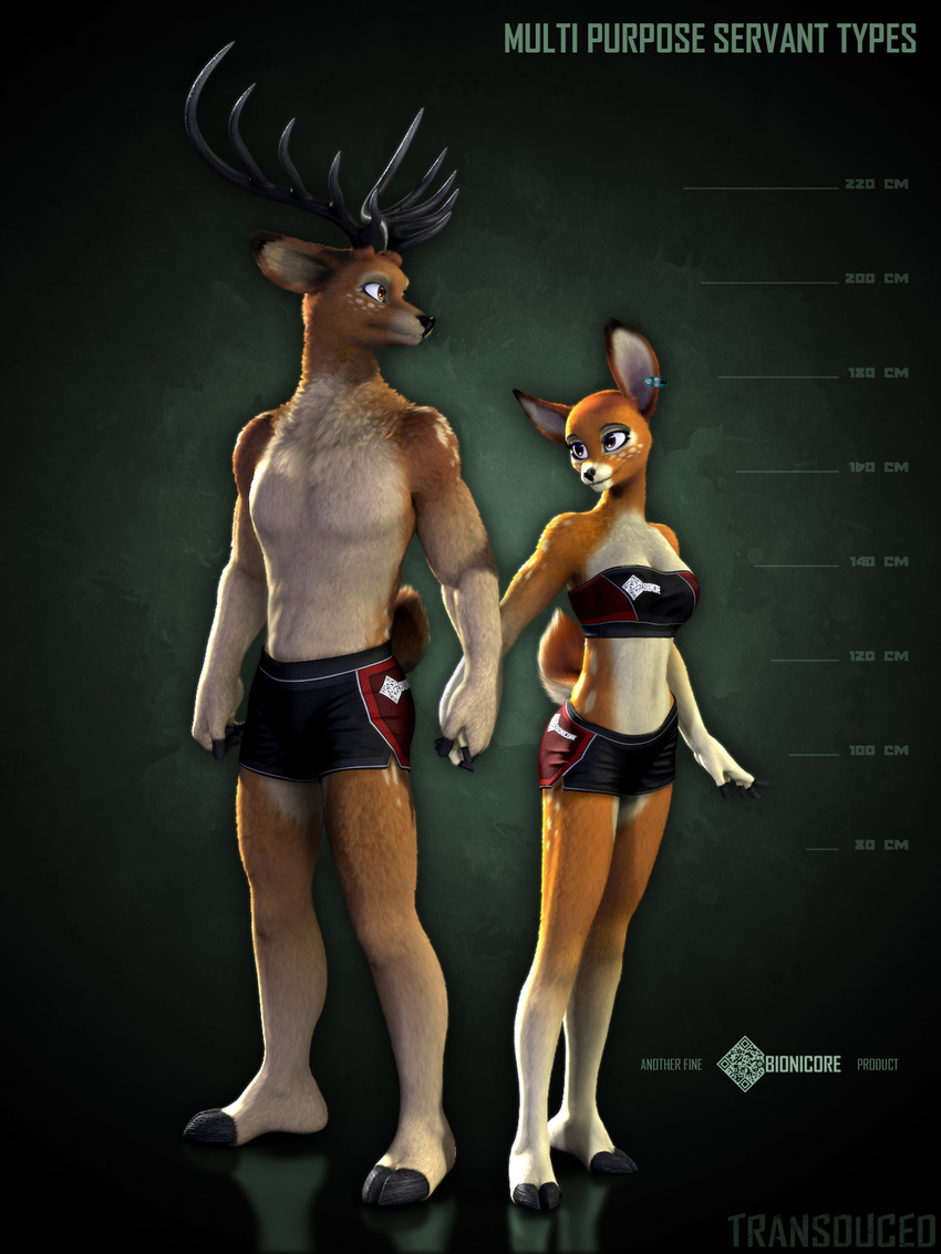 antlers breasts cervine clothing couple deer female front hand_holding height_chart hooves horn male mammal shorts size_difference standing zorryn