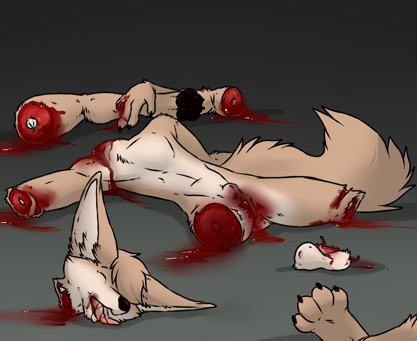 balls beartp blood bone canine castration dead death decapitation dismemberment eyes_closed fennec fox gore grotesque_death male mammal nude severed_head sheath tongue tongue_out vykos what why