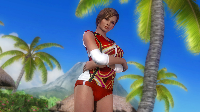 beach dark_skin dead_or_alive dead_or_alive_5 elbow_pads hot_pants lisa_hamilton official_art shirt short_hair short_shorts shorts