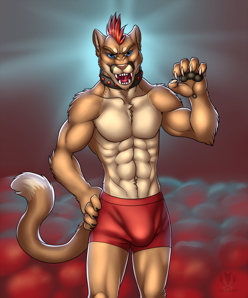5_fingers abs abstract_background anthro beefcake biceps black_pawpads blue_eyes boxers brown_fur brown_nose bulge chest chest_tuft claws collar fangs feline flexing front fur hair lion long_tail looking_at_viewer male mammal mohawk muscles navel open_mouth pawpads paws pecs pink_nose plain_background pose red_hair solo standing tan_fur teeth toned tongue topless tuft underwear vallhund