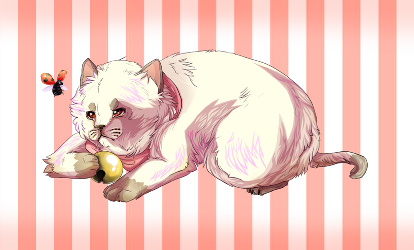 arthropod bee_and_puppycat bell canine cat dog feline insect ladybug mammal nyantaco puppycat