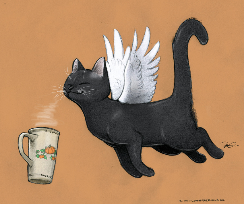 :3 cat coffee cup cute feline feral flying mammal punkin punkins robthedoodler solo whiskers wings