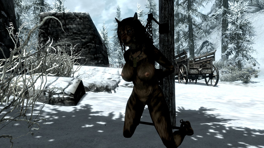 amulet bdsm bound breasts feline female khajiit mammal nipples nude public pussy screencap shadow_darklaw snow spreader_bar the_elder_scrolls the_elder_scrolls_v:_skyrim video_games