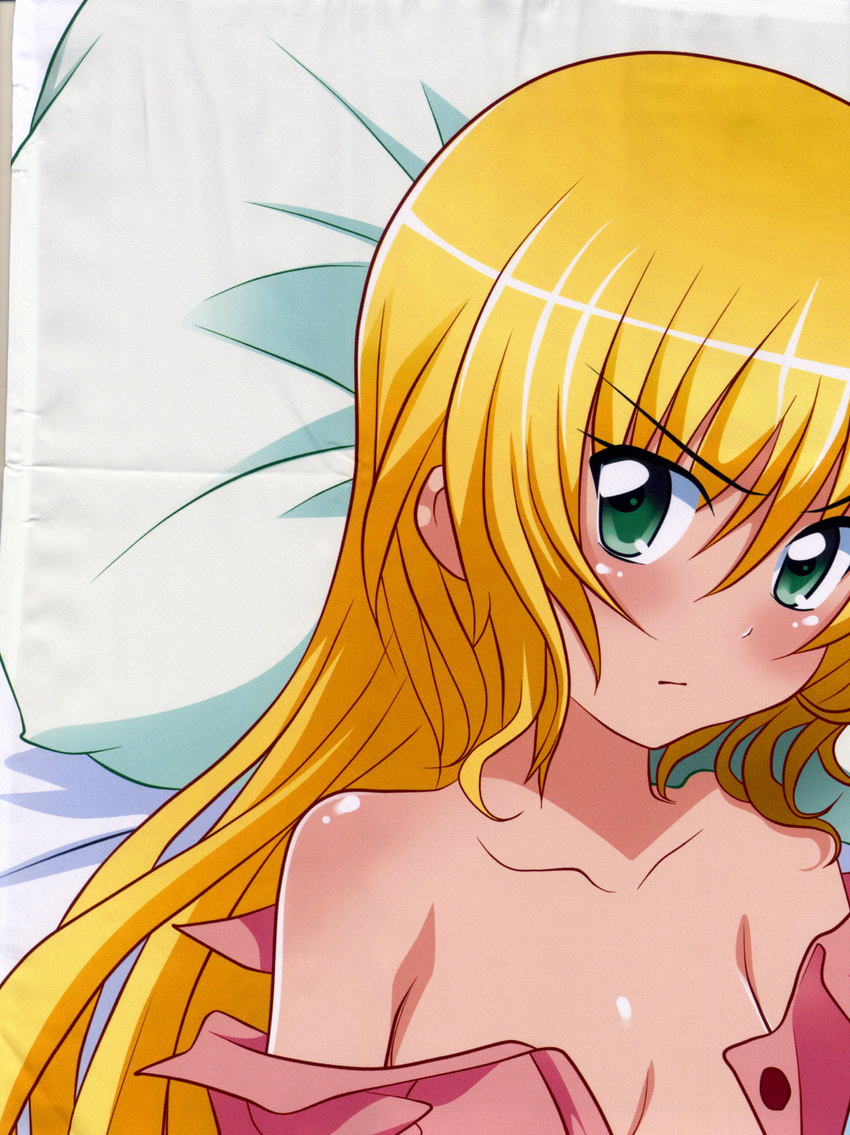 dakimakura hayate_no_gotoku partial_scan sanzenin_nagi stitchme