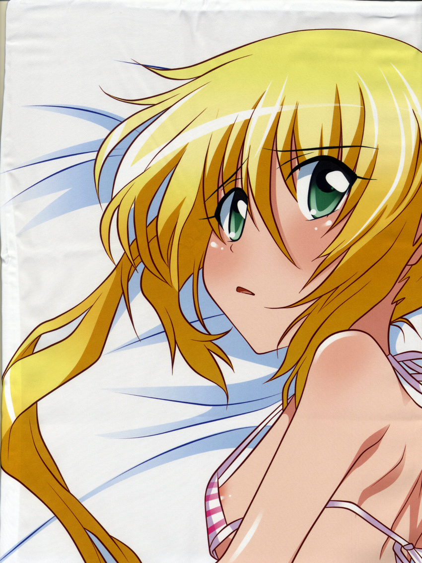 dakimakura hayate_no_gotoku partial_scan sanzenin_nagi stitchme