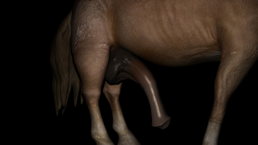 3d animal_genitalia balls equine feral flaccid flared_penis fur hair hooves horse horsecock male mammal non_fact0r nude penis plain_background soft solo zoological_gardens