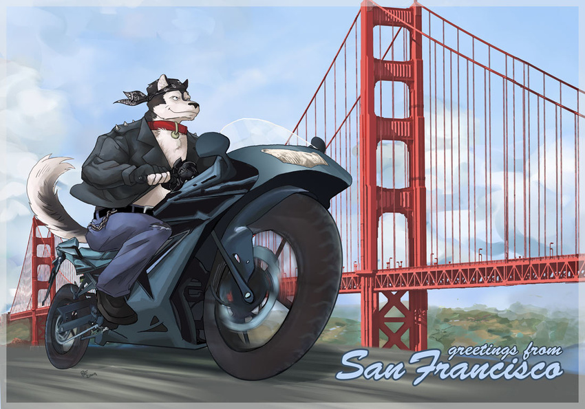 bridge canine golden_gate kokoes male mammal motorbike motorcycle san_francisco solo vehicle