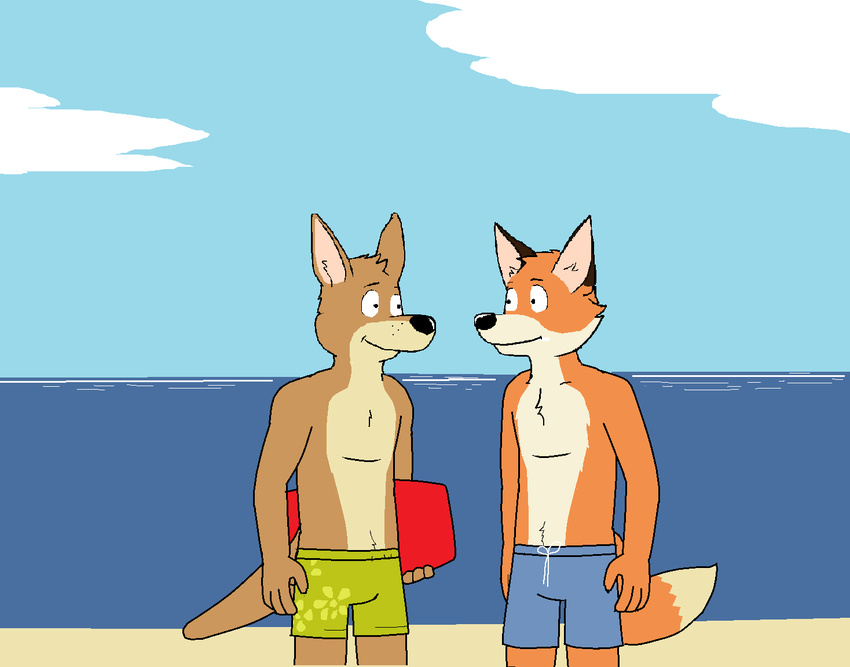 anthro beach canine cloud clouds dan duo fox friends fur invalid_tag josh kangaroo male mammal marsupial paintfox sand sea seaside summer surf swimsuit the_crappy_paint_job water