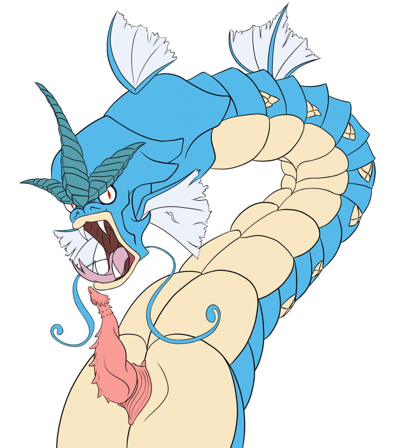 chinese_dragon cloaca dragon eastern erection fangs fins flareponyta forked_tongue gyarados looking_at_viewer male nintendo open_mouth penis pok&#233;mon rage red_eyes scalie slit solo spikes tongue video_games whiskers
