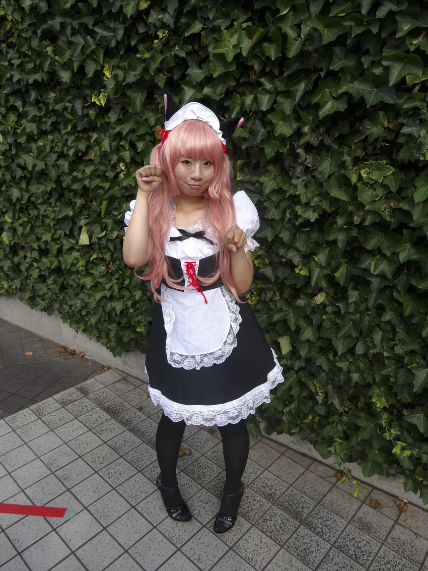 1girl :3 absurdres animal_ears apron comiket comiket82 cosplay dress faris_nyannyan frilled_dress frills high_heels highres long_hair looking_at_viewer maid_headdress pantyhose paw_pose photo pink_hair plant pose puffy_sleeves ribbon short_sleeves smile solo standing steins;gate