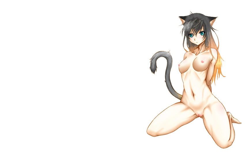 191karasu animal_ears black_hair blue_eyes breasts catgirl long_hair nipples nude original pussy tail uncensored white