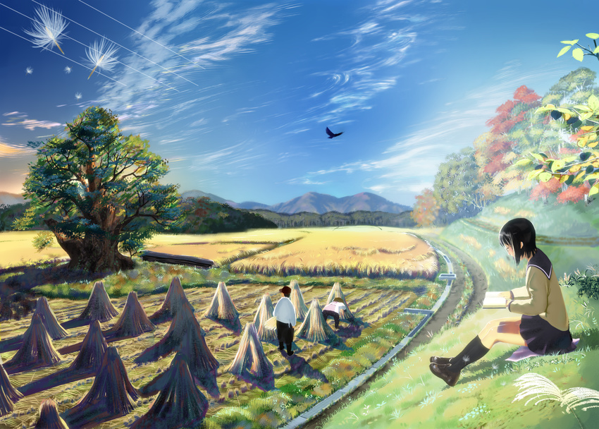 animal bird black_hair book clouds feathers forest grass kneehighs landscape original scenic seifuku sky socks tree zunga