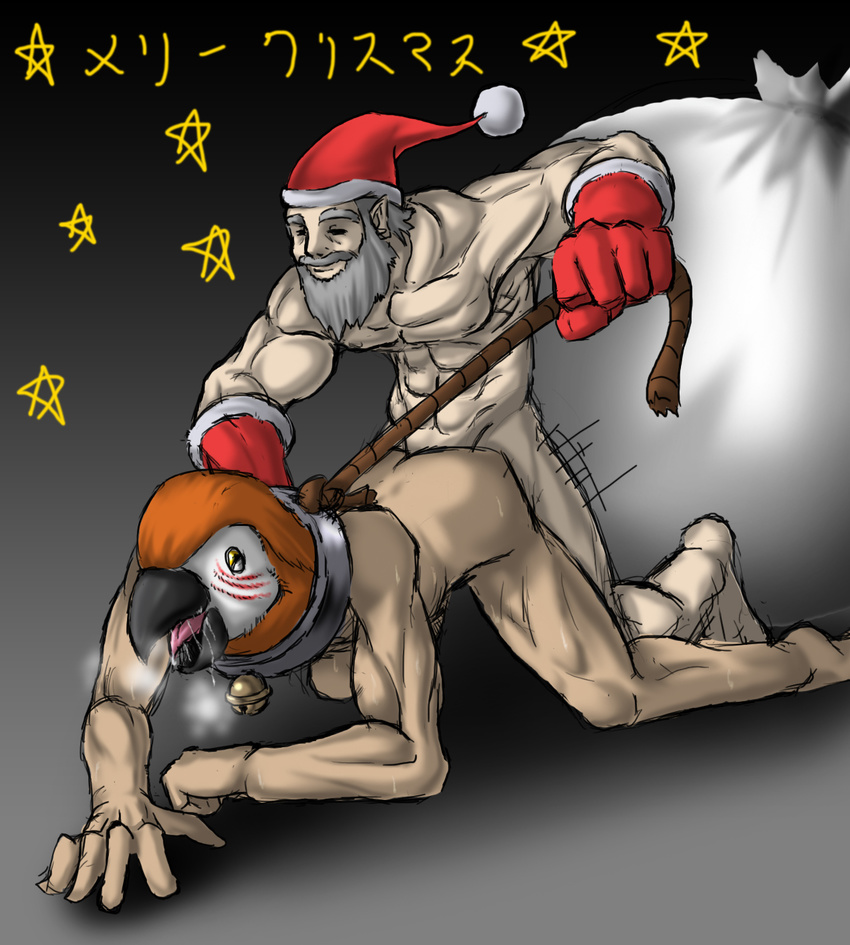 &#12362;&#12356;&#12418;&#12383;&#12429;&#12358; ?????? all_fours anthro avian beak beard bell biceps bird blush christmas collar duo facial_hair from_behind gay gradient_background grey_hair hair hat holidays human japanese_text leash male mammal muscles nipples nude orange_feathers parrot pecs sack saliva santa_claus sex sweat text tongue translated what why