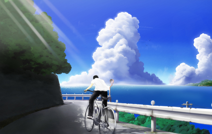 bad_id bad_pixiv_id bicycle bird cloud copyright_request day ground_vehicle guard_rail light_rays male_focus nariyuki ocean outdoors power_lines road scenery sky solo sunbeam sunlight water