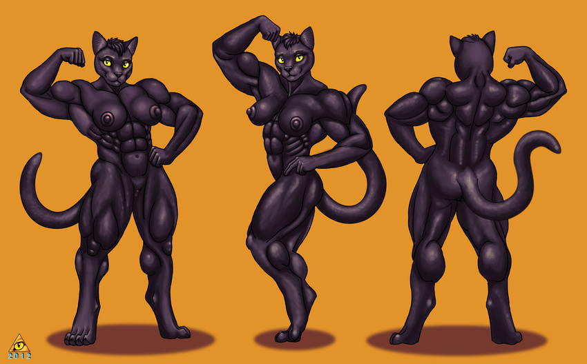 anthro back black_nipples bodybuilder breasts butt cat feline female flexing front invalid_tag looking_at_viewer mammal multiple_poses muscles muscular_female nipples nude pose pussy smile solo ultrafox yellow_eyes