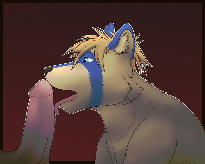 2014 anthro big_penis blue_eyes bust canine disembodied_penis duo erection fangs gay kraig licking male mammal natavisch neelix nude oral oral_sex penis raccoon retracted_foreskin sex side_view simple_background tongue tongue_out uncut