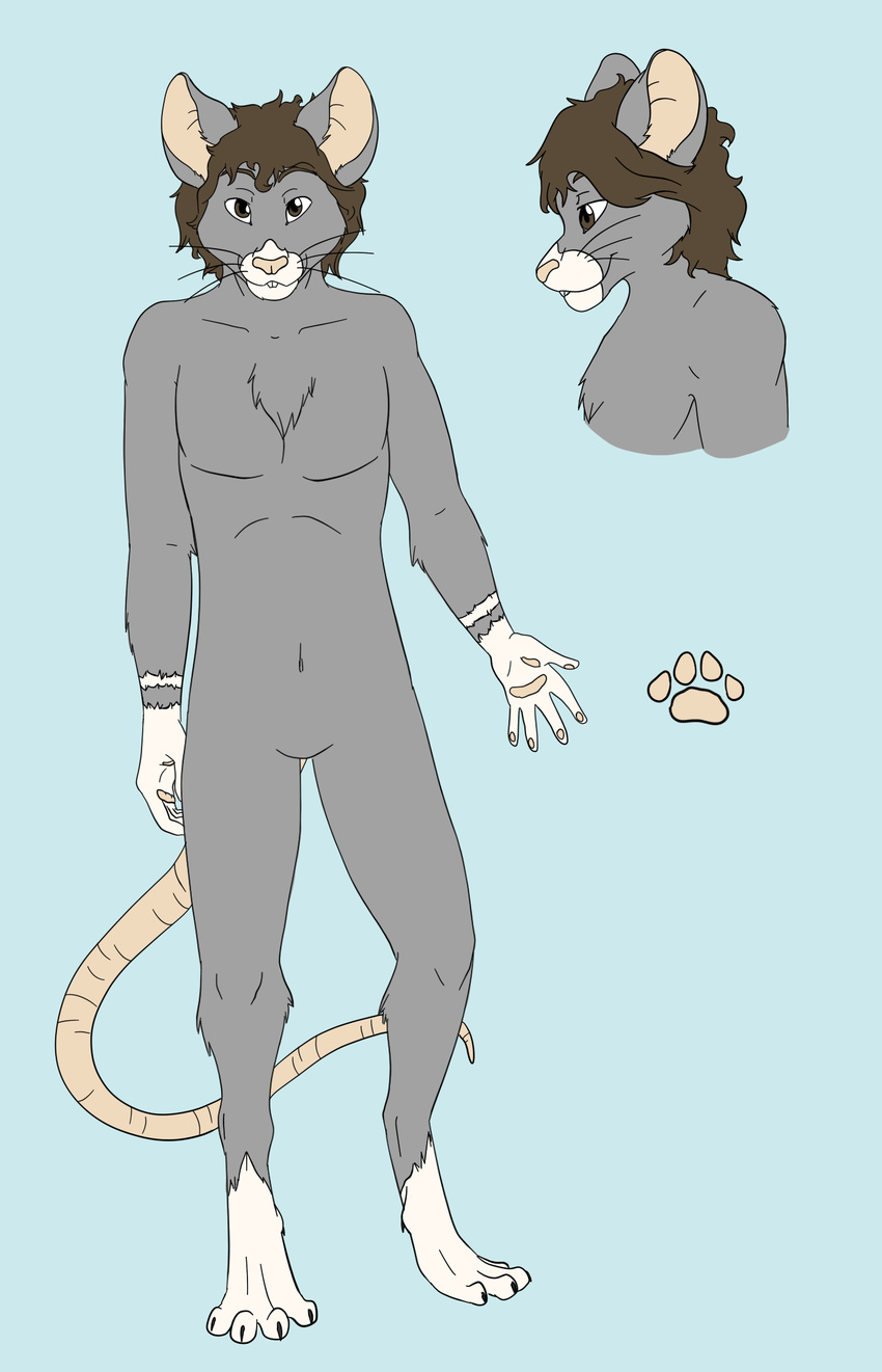 fur invalid_color male mammal model_sheet mouse rat rodent thand thandryus