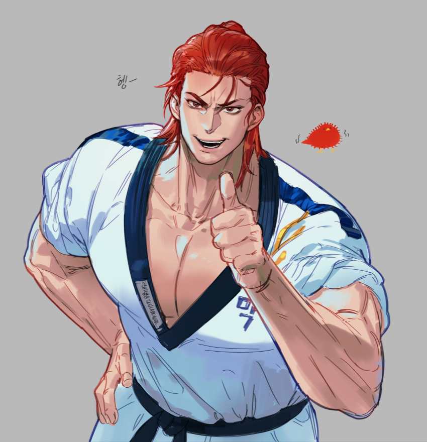 1boy absurdres belt bird black_belt commentary_request dougi hand_on_own_hip highres hwoarang_(tekken) looking_at_viewer male_focus red_hair simple_background small_dduck smile solo teeth tekken tekken_8 thumbs_up translation_request