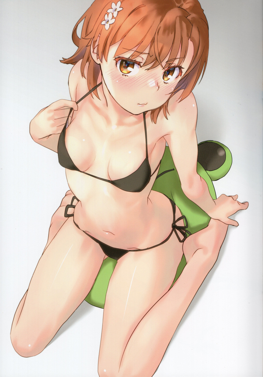 1girl absurdres bare_legs bare_shoulders barefoot bikini black_bikini blush breasts brown_eyes brown_hair closed_mouth collarbone flower from_above grey_background hair_flower hair_ornament halterneck highres looking_at_viewer misaka_mikoto navel non-web_source raika9 shiny_skin short_hair side-tie_bikini_bottom simple_background sitting small_breasts solo stomach string_bikini stuffed_animal stuffed_frog stuffed_toy swimsuit toaru_kagaku_no_railgun toaru_majutsu_no_index wariza white_flower