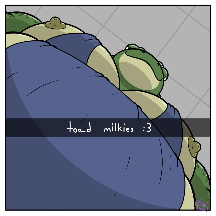 absurd_res amphibian anthro belly big_belly big_moobs clothing frog hi_res humanoid korro_(solokorro) looking_at_viewer looking_down low-angle_view male message moobs nipples overweight overweight_anthro overweight_male shirt snapchat solo solokorro tank_top toad_(frog) topwear