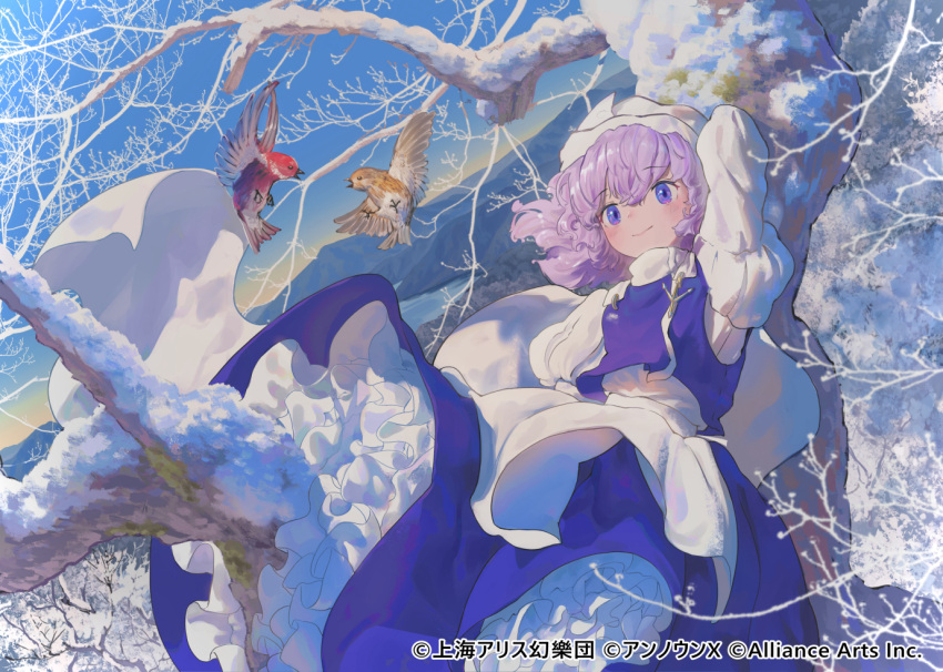 1girl apron blue_eyes blue_skirt blue_vest hat kajatony letty_whiterock long_sleeves petticoat purple_hair shirt short_hair skirt solo touhou touhou_danmaku_kagura vest waist_apron white_apron white_headwear white_shirt