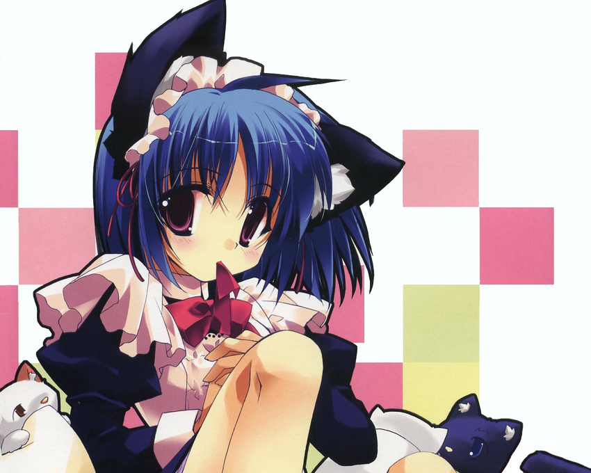 animal blue_hair blush cat catgirl maid short_hair violet_eyes