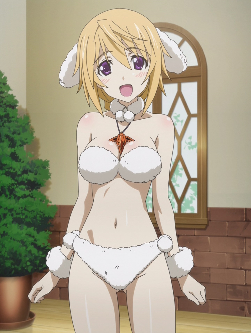 :d animal_ears ass_visible_through_thighs blonde_hair blush breasts brown_hair charlotte_dunois cleavage costume cowboy_shot dog_ears eyebrows_visible_through_hair highres indoors infinite_stratos looking_at_viewer medium_breasts open_mouth plant poodle potted_plant purple_eyes screencap short_hair smile stitched third-party_edit window