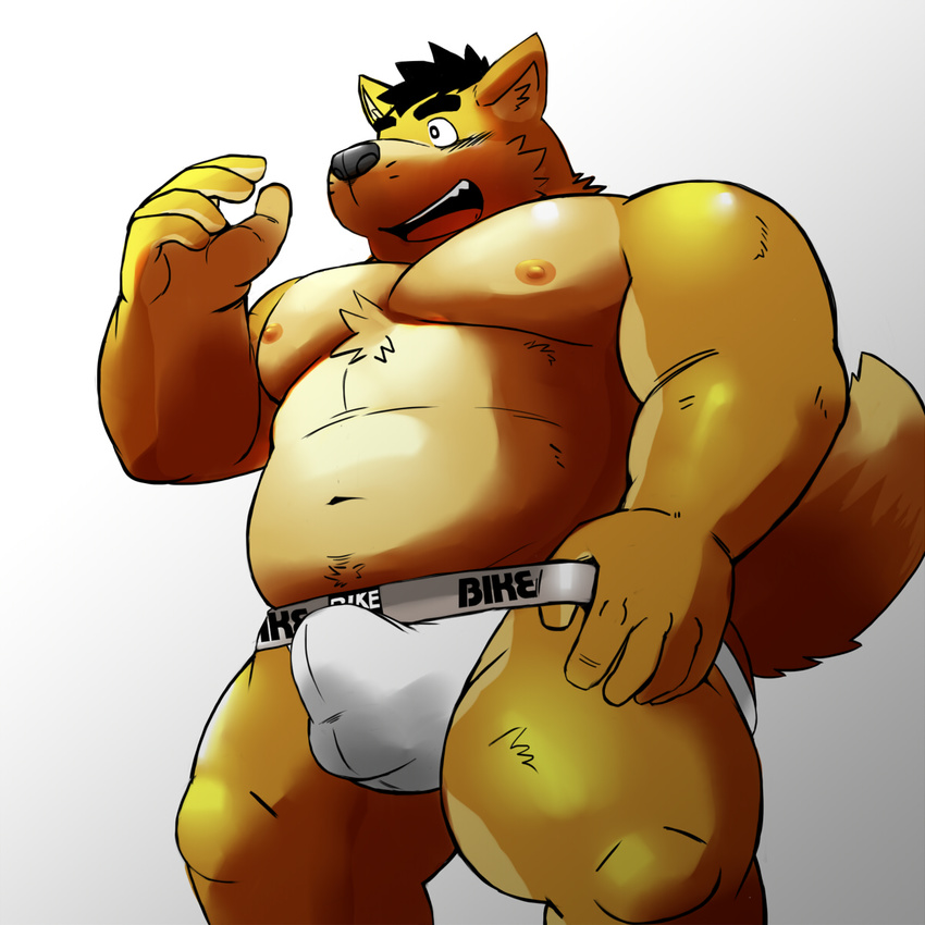 anthro biceps bulge canine chest_tuft chubby dog fur jockstrap male mammal musclegut muscles shiba-kenta shiba_inu solo topless tuft underwear