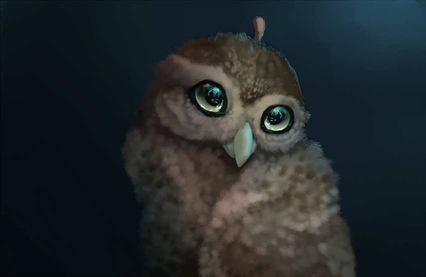 avian beak big_eyes brown_feathers cute nicolas0113 owl solo