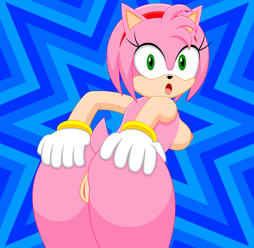 breasts butt butt_grab female gloves grab hedgehog kaizochan mammal nipples pussy sega sonic_(series)