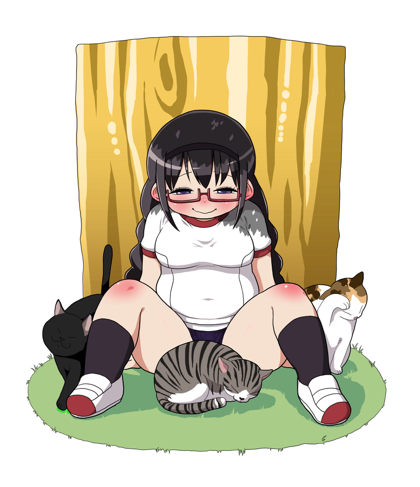 akemi_homura arm_support black_hair blush braid breasts buruma cat fat grass gym_uniform hairband highres long_hair mahou_shoujo_madoka_magica medium_breasts purple_eyes shoes sitting smile spoilers tree twin_braids uwabaki wavy_mouth yoshino_norihito