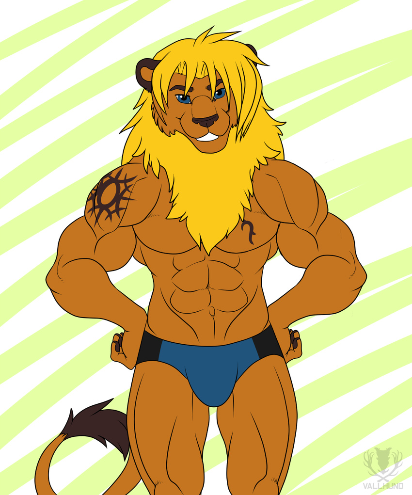 abs abstract_background anthro biceps big_muscles blonde_hair blue_eyes brown_fur brown_nose bulge feline fur grin hair lion looking_at_viewer male mammal muscles pecs pose smile solo speedo standing swimsuit tattoo teeth toned topless vallhund