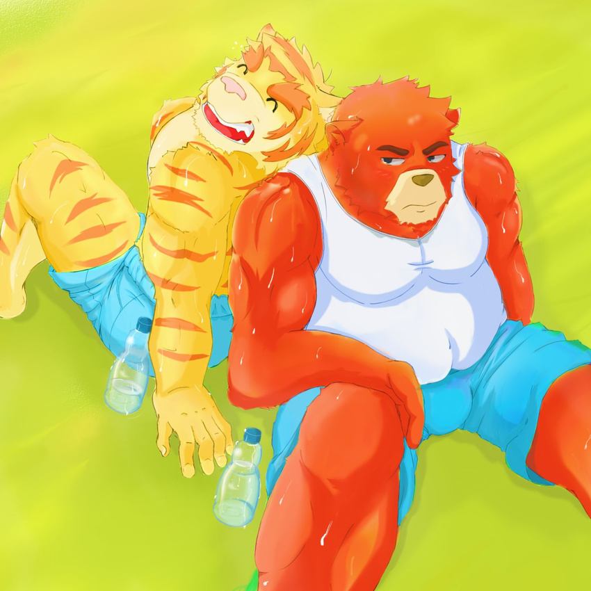 anthro bear biceps body_markings brown_fur brown_nose bulge chubby clothing duo eyes_closed fangs feline frown fur grin grizzly_bear juuichi juuichi_mikazuki male mammal markings morenatsu muscles open_mouth overweight pecs pink_nose pose rei-zuka shirt shorts sitting smile stripes sweat tank_top teeth tiger tongue topless torahiko_ooshima yellow_fur