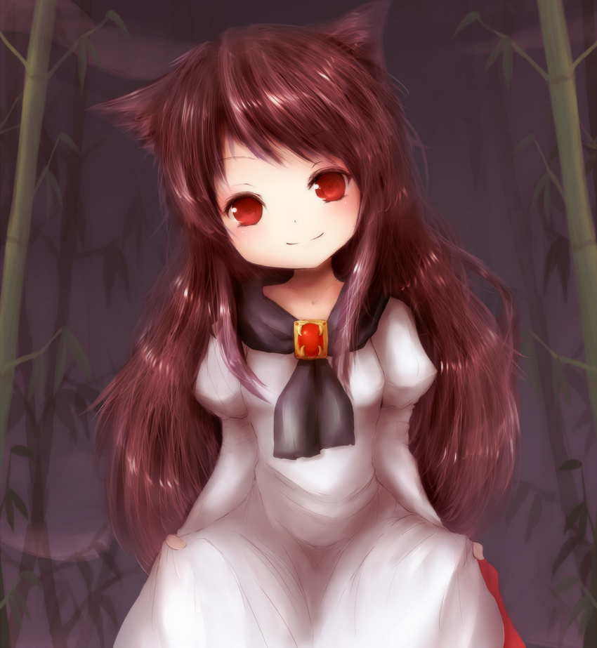 amanojaku animal_ears bad_id bad_pixiv_id brooch brown_hair curtsey dress head_tilt highres imaizumi_kagerou jewelry long_hair long_sleeves red_eyes smile solo touhou wolf_ears