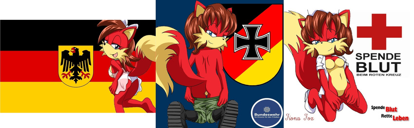 bbmbbf bundeswehr canine fiona_fox fox german germany palcomix red_cross rotes_kreuz