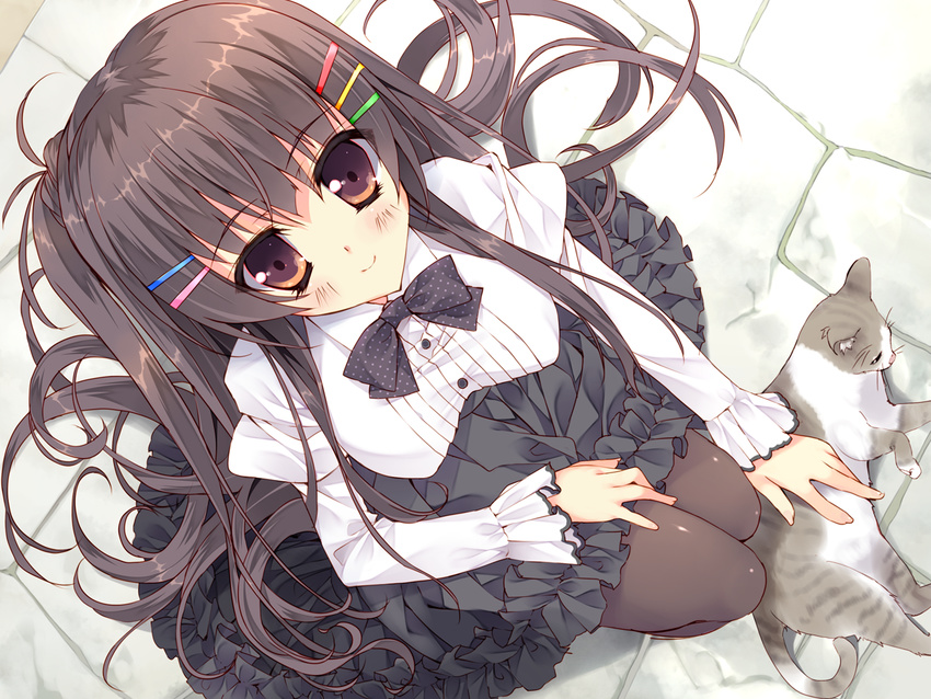 animal black_hair bow brown_eyes cat chiisana_kanojo_no_sayokyoku feng game_cg long_hair motosuwa_matsuri pantyhose tsurusaki_takahiro