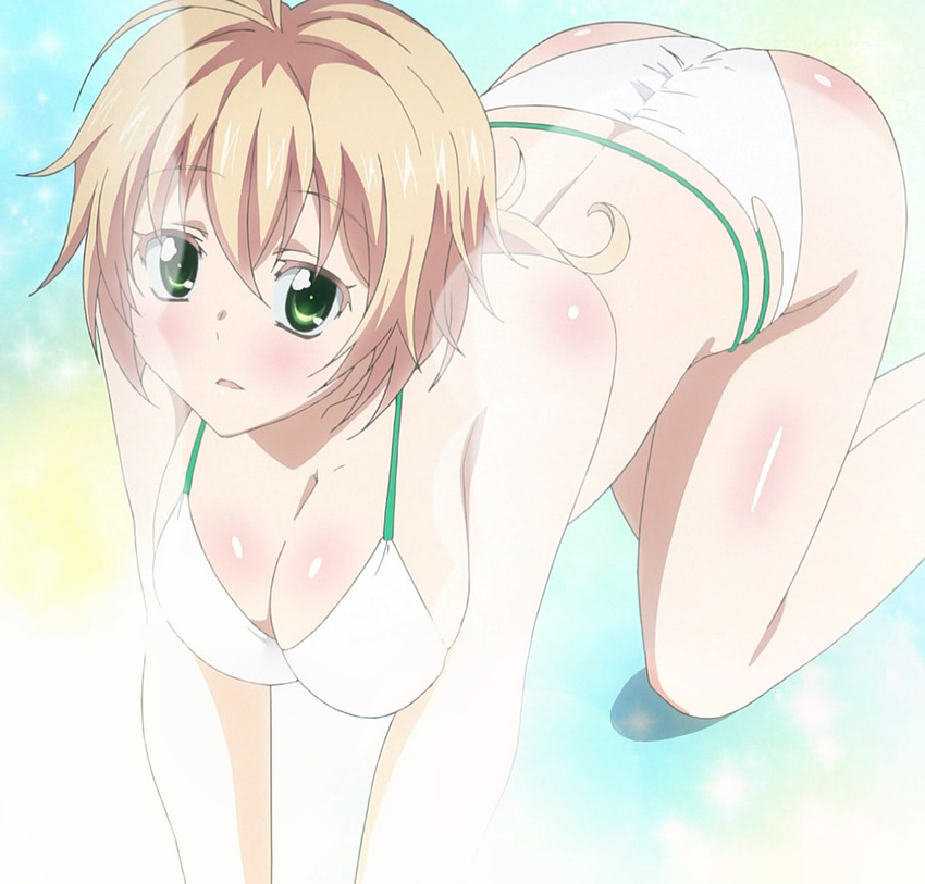 1girl all_fours bikini breasts brown_hair cleavage colored_eyelashes female green_eyes nova_luminous screencap shiny shiny_skin short_hair solo sparkle swimsuit yuusha_ni_narenakatta_ore_wa_shibushibu_shuushoku_wo_ketsui_shimashita.