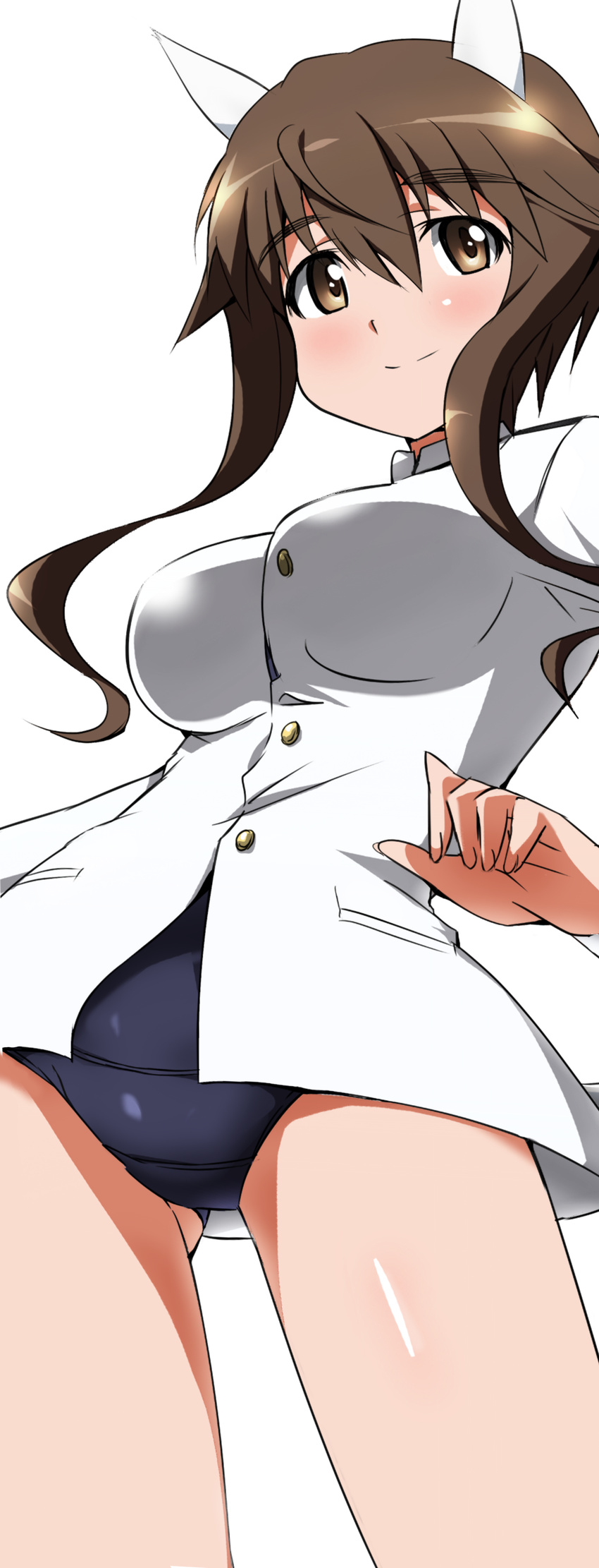 absurdres animal_ears ass_visible_through_thighs blue_swimsuit brown_eyes brown_hair closed_mouth cowboy_shot crotch_seam eyebrows_visible_through_hair highres jacket light_smile long_sleeves looking_at_viewer military military_uniform no_pants official_style school_swimsuit short_hair short_hair_with_long_locks simple_background solo standing strike_witches swimsuit takei_junko tokiani uniform white_background white_jacket world_witches_series