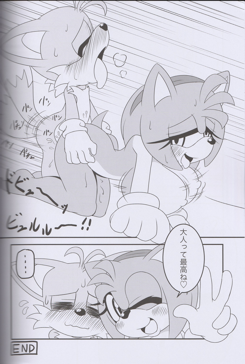 amy_rose anthro big_breasts breasts canine comic erect_nipples female fox from_behind happy happy_sex hedgehog japanese_text male mammal michiyoshi miles_prower monochrome nipples nude penetration sega sex smile sonic_(series) straight text