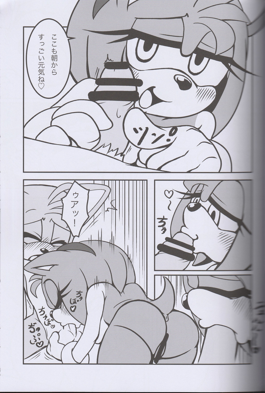 amy_rose anthro balls big_breasts breasts canine comic erection fellatio female fox hedgehog japanese_text male mammal michiyoshi miles_prower monochrome oral oral_sex penis sega sex sonic_(series) straight text