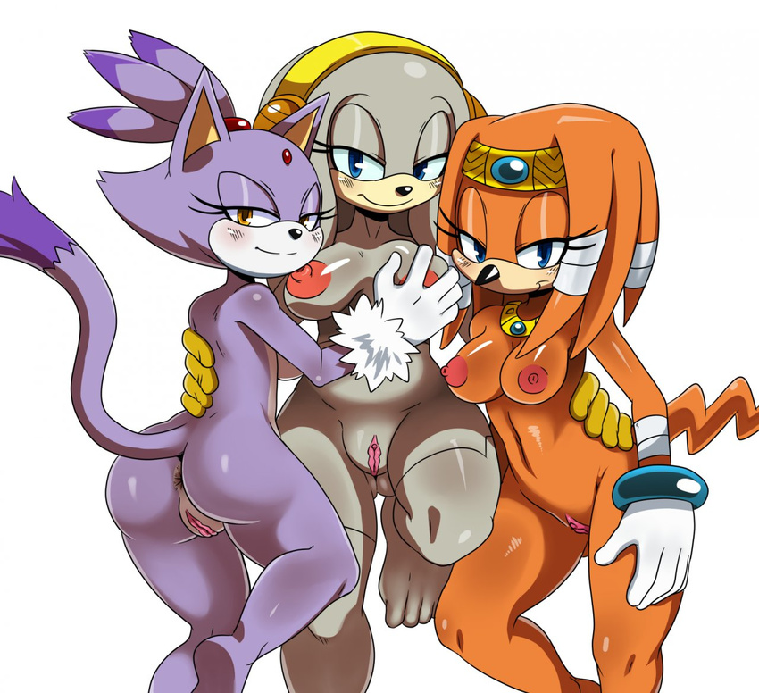anus big_breasts blaze_the_cat blush breast_grab breasts butt echidna feline looking_at_viewer nipples pussy sega smile sonic_(series) sssonic2 thick_thighs tikal_the_echidna wide_hips zeta_the_echidna