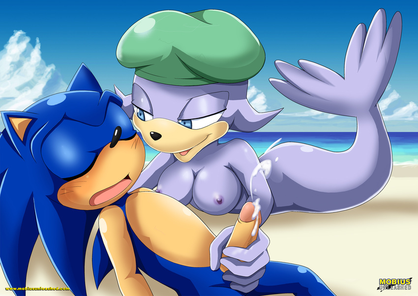 beach blush breasts cum cumshot duo erection eyes_closed female fin handjob hat hedgehog humanoid_penis lying male mammal marine mobius_unleashed nipples nude on_front orgasm original_character palcomix penis rodent seal seaside sega sex sonic_(series) sonic_the_hedgehog