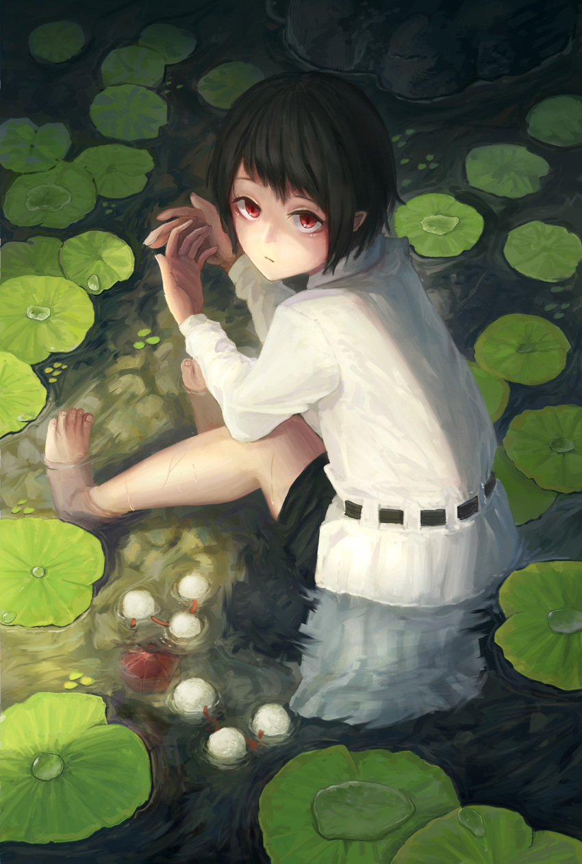 1girl bangs bare_legs barefoot black_hair black_skirt closed_mouth collared_shirt fjsmu from_above hat hat_removed headwear_removed highres knees_up leaf lily_pad long_sleeves looking_at_viewer looking_back miniskirt nature outdoors own_hands_together partially_submerged pointy_ears pom_pom_(clothes) pond red_eyes ripples sanpaku shameimaru_aya shirt short_hair sidelocks sitting skirt solo tokin_hat touhou water white_shirt