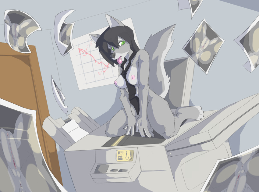 anthro anus areola black_hair bluemaster breasts canine copy_machine female fur green_eyes grey_fur hair kneeling mammal necktie nipples nude office photo pussy solo tongue tongue_out tongue_put wolf