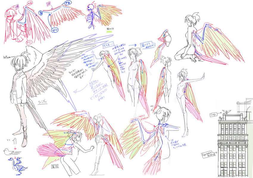 bird_tail character_sheet cindy_o'brien highres how_to multiple_views original seo_tatsuya short_hair wings