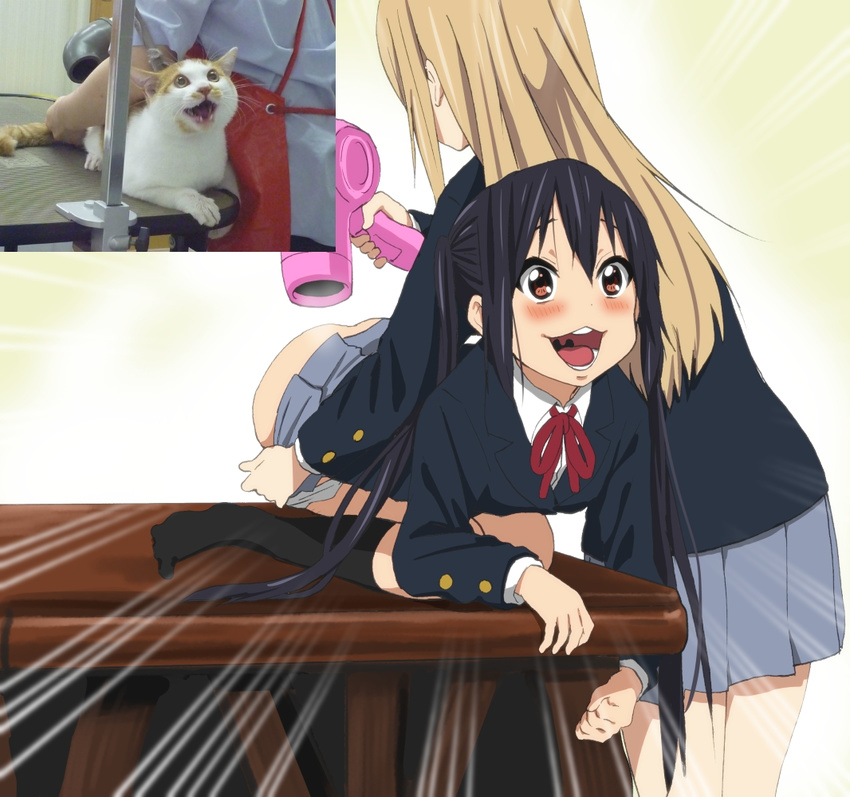 :d animal blazer blue_skirt blush buttons cat commentary derivative_work emphasis_lines hair_dryer jacket k-on! kneeling kotobuki_tsumugi long_hair long_sleeves multiple_girls nakano_azusa open_mouth panties panty_pull parody reference_photo reference_photo_inset revision round_teeth sakuragaoka_high_school_uniform school_uniform skirt skirt_lift smile sora_(udamama) teeth underwear very_long_hair watanore what white_panties