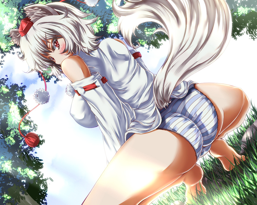 animal_ears ass bare_shoulders barefoot blue_skin blush breasts cloud day detached_sleeves dutch_angle grass hat hat_ribbon inubashiri_momiji large_breasts long_sleeves looking_at_viewer looking_back no_pants panties pink_eyes ribbon shirt silver_hair solo spread_legs squatting striped striped_panties tail tiptoes tokin_hat touhou underwear wolf_ears wolf_tail zan_(harukahime)